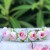 Flower crown pink roses and pearls