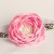 Headband Leopard and pink flower