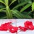 Red Flower Crown Headband with Silver Leaves