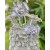 Baby girl ruffle lace romper headband set grey