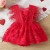 Baby Girl Red Lace Feather Sleeves Dress