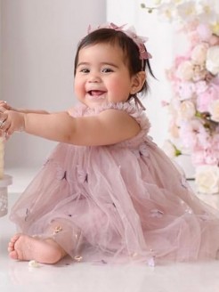 Baby Butterfly Tulle Dress Dusty Pink