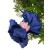 Baby Girl Headband Navy Blue Bow with Roses