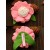 Girl Pink Felt Flower Hair Clip